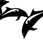 Habanero公测极速版-Habanero手机APP下载/IOS/安卓版/官方登录入口