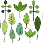 GR电子安卓钻石海洋版-GR电子手机APP官方正版登录/IOS/Android下载入口
